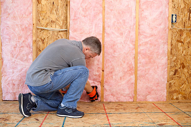 Best Insulation Repair Services  in Ortonville, MI